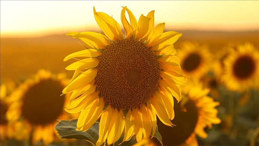 Gümrük vergileri yeniden düzenlendi