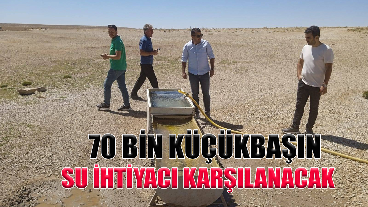 70 bin küçükbaşın su ihtiyacı karşılanacak