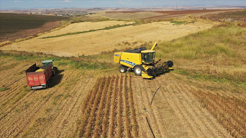 Devletten kiralık tarla