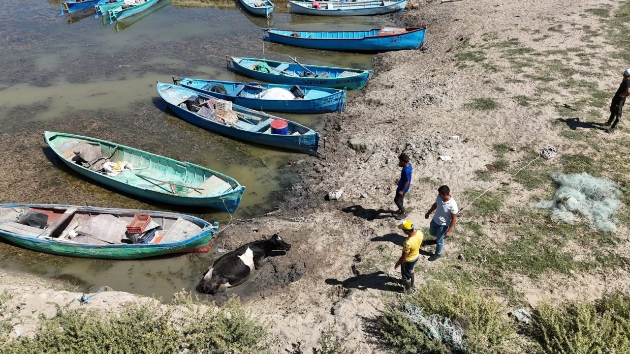 Beyşehir Gölü kıyısında çamura saplanan inek kurtarıldı