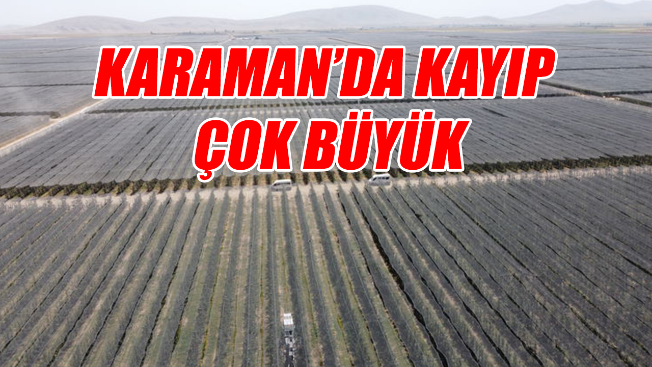 Karaman&#039;da kayıp çok büyük
