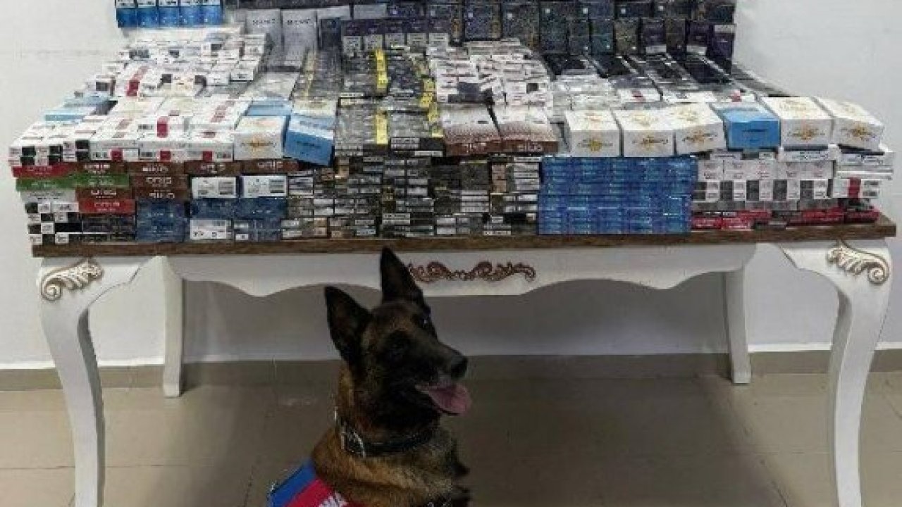 Niğde&#039;de 3 bin 606 paket kaçak sigara ele geçirildi