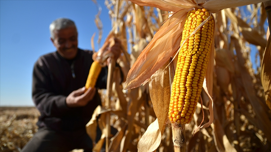 Randevunuzu almayı unutmayın