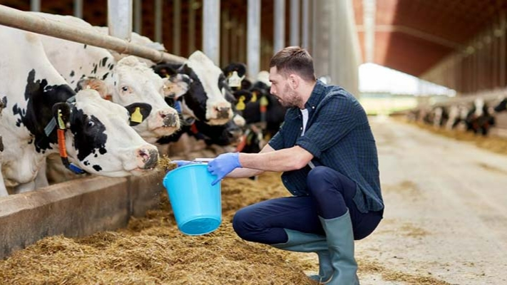 Karaman’daki yetiştiricilere müjde