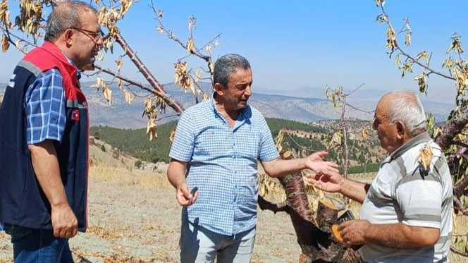Karaman&#039;da bahçeler kontrol edildi