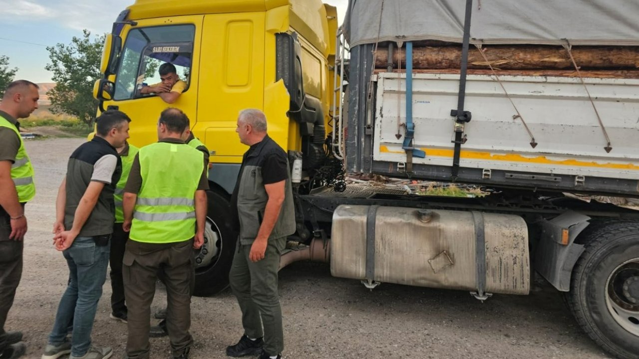 Beypazarı'nda Orman İşletme Müdürlüğü ekipleri denetim yaptı