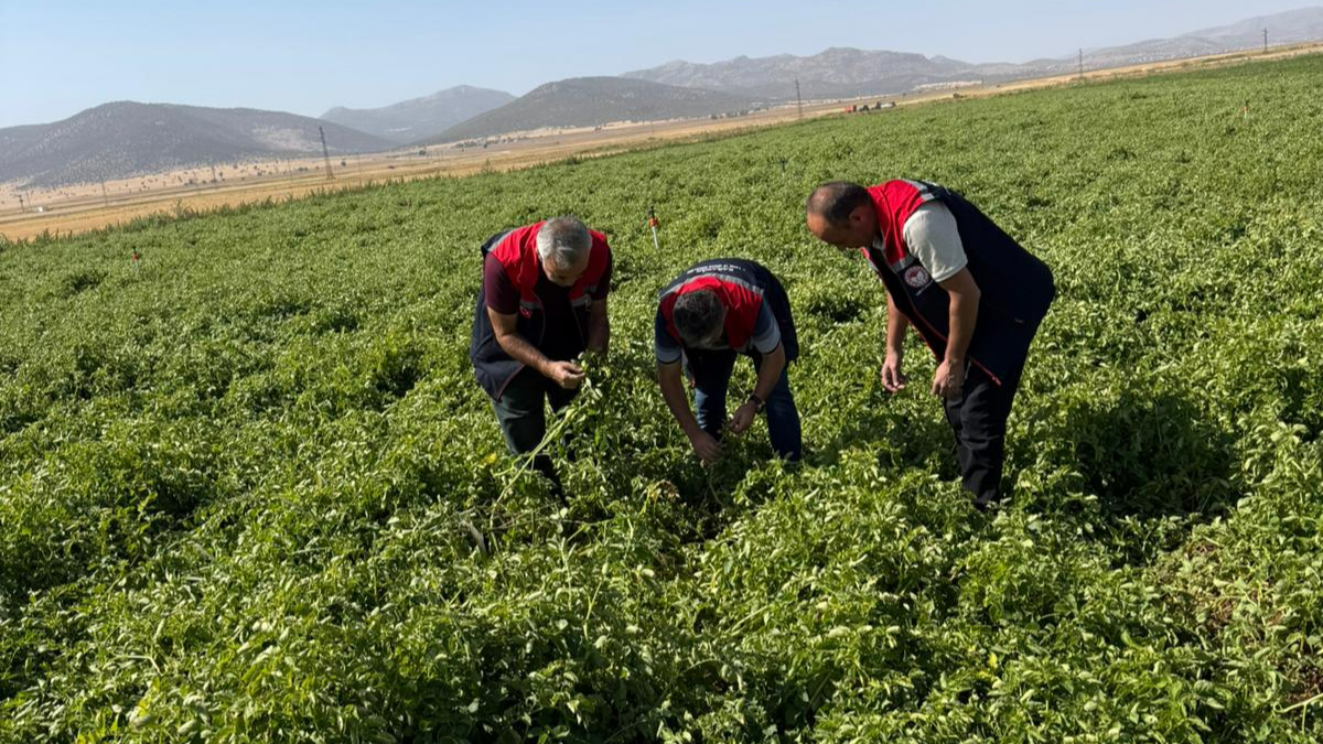 Karaman’da tarlalar denetim altında
