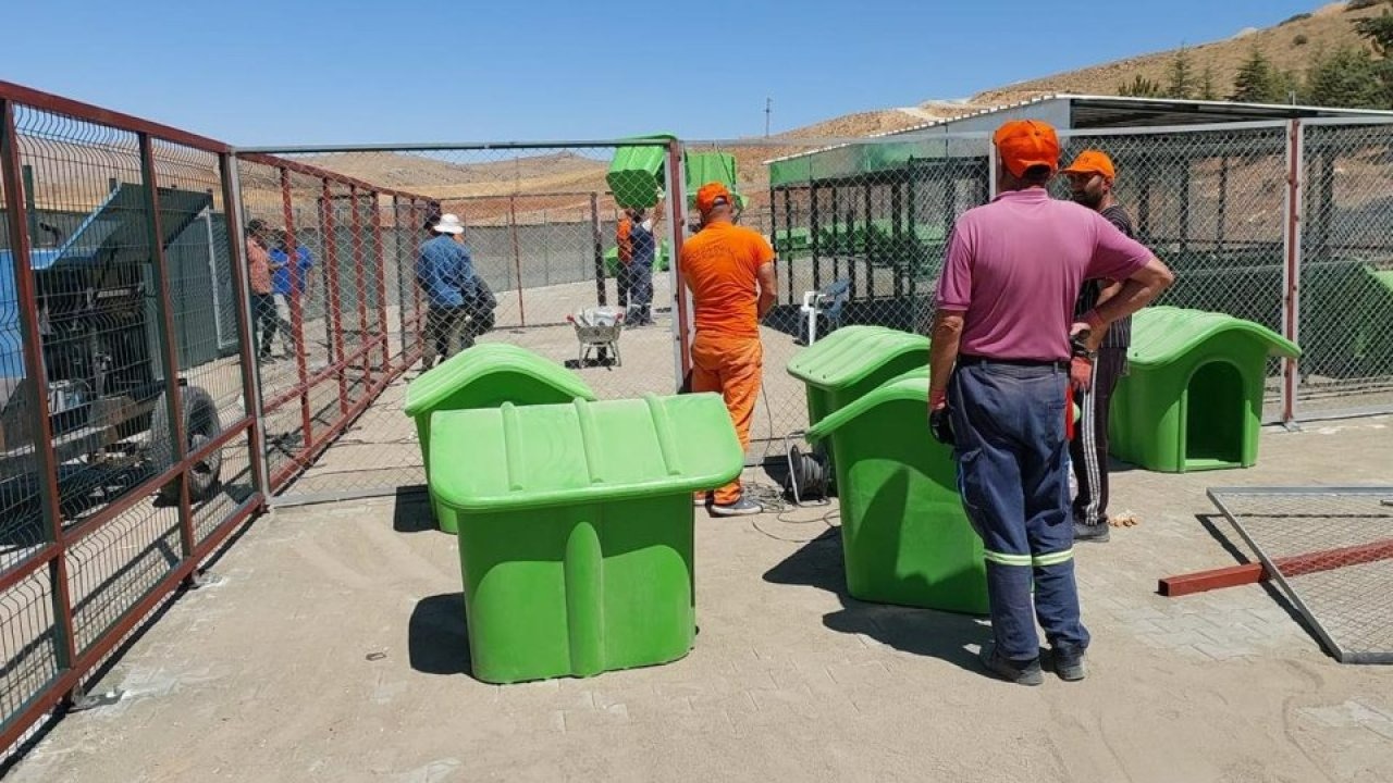 Kırşehir'de hükümlüler hayvan bakımevinin demir ve ahşap işlerini tamamladı