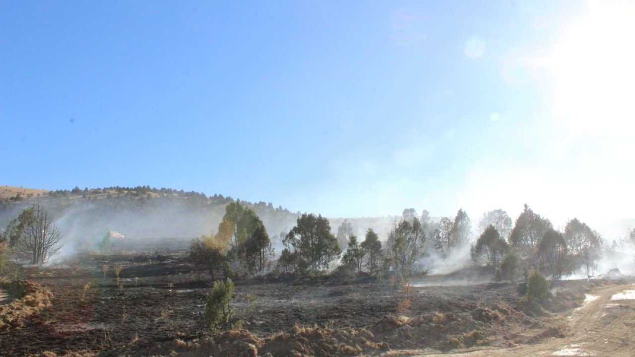 Konya&#039;da çıkan orman yangınında 40 dönüm alan zarar gördü