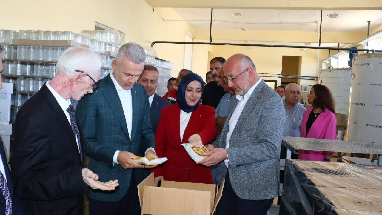 Karaman’da arıcılıkta yeni dönem başlıyor