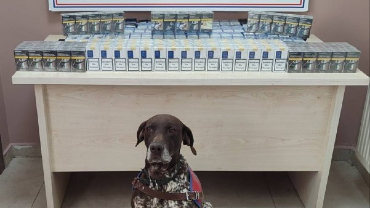 Kayseri'de 640 paket kaçak sigara ele geçirildi