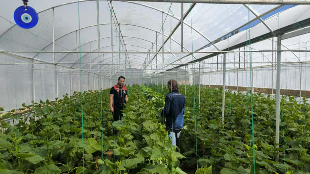 Ermenek ve Başyayla’da tarımsal çalışmalar sürüyor