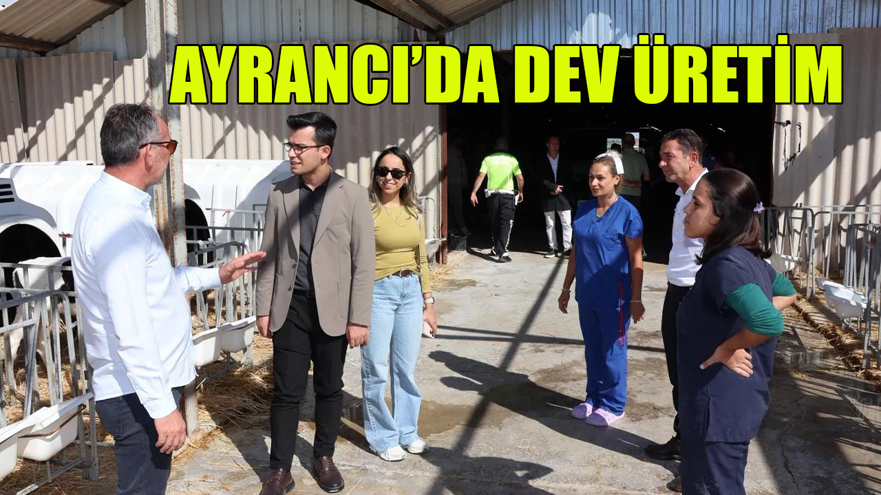 Ayrancı’da dev üretim