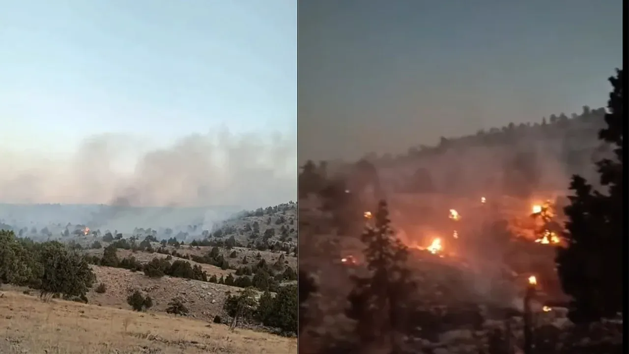 Ayrancı’da orman yangını