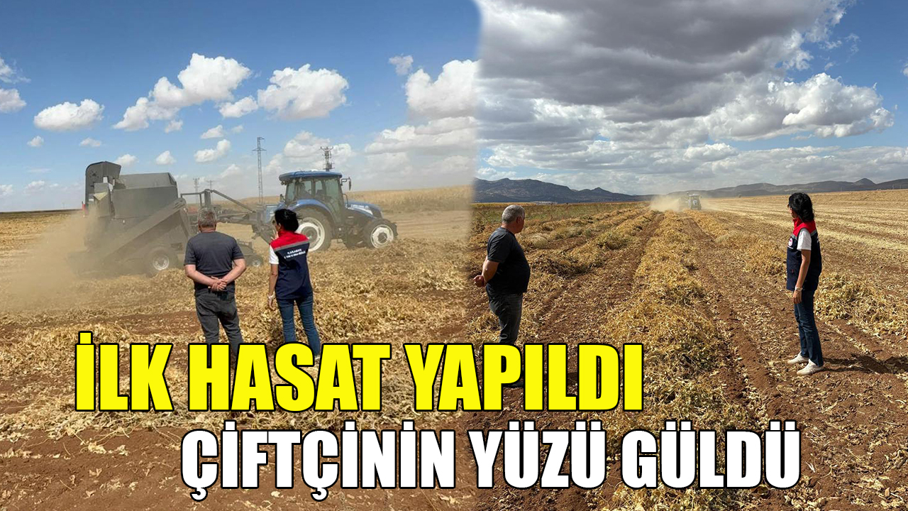 Karaman'da çiftçinin yüzü güldü