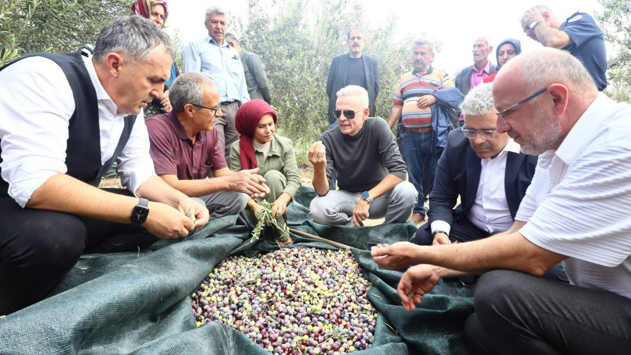 Proje tarlada meyvesini verdi