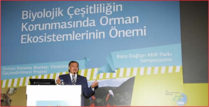 AĞAÇLANDIRMADA DÜNYA ÜÇÜNCÜSÜYÜZ