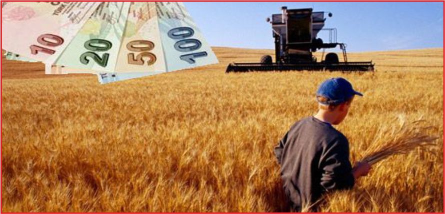 ÇİFTÇİYE 1 MİLYAR LİRA DESTEK