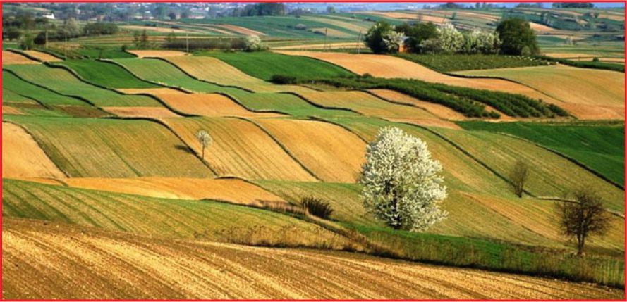 12 TAKSİTLE TARIM ARAZİSİ!