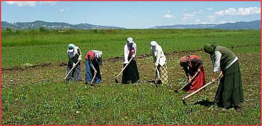 MEVSİMLİK İŞÇİ SORUNU MECLİS’TE