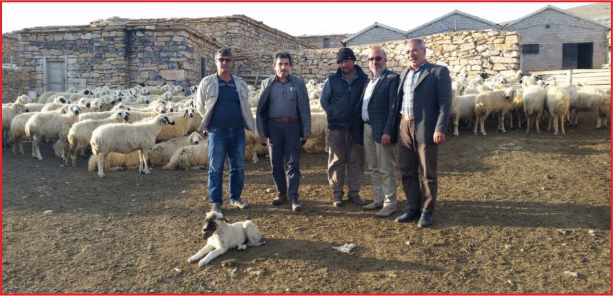 “KARAMAN KÜÇÜKBAŞ’IN MERKEZİ OLACAK”