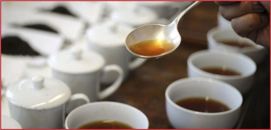 BU BİTKİLERE DİKKAT!