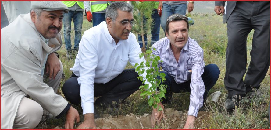 “HERKESİN DİKİLİ AĞACI OLACAK”