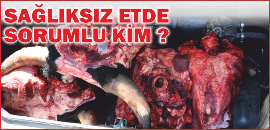 SAĞLIKSIZ ETDE SORUMLU KİM ?