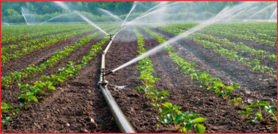 HİBE DESTEĞİ İÇİN SON GÜN 14 ŞUBAT