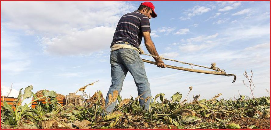 ÇİFTÇİLERE DESTEK ÖDEMELERİ BAŞLADI