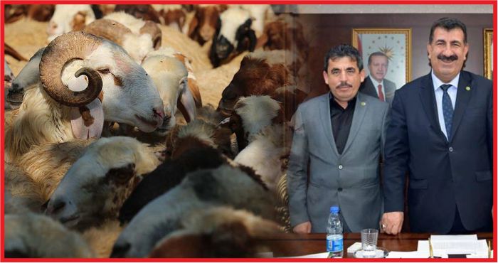 "10 BİN YETİŞTİRİCİ DAHA DESTEKLEMELERDEN FAYDALANABİLECEK”