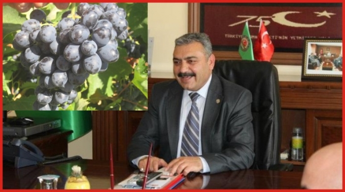 “EKŞİKARA ÜZÜMÜ MARKA OLACAK”