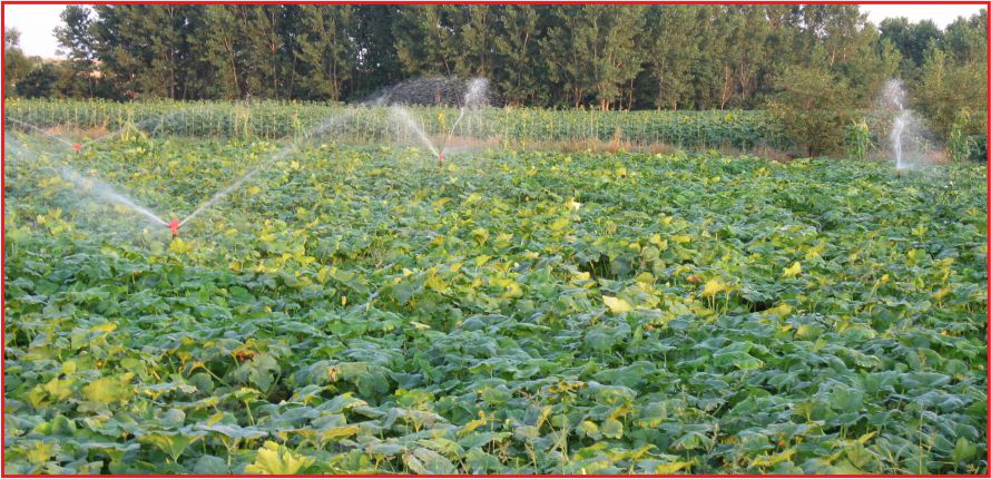 “2015 YILINI SULAMA TESİSLERİNDE HAMLE YILI İLAN ETTİK”