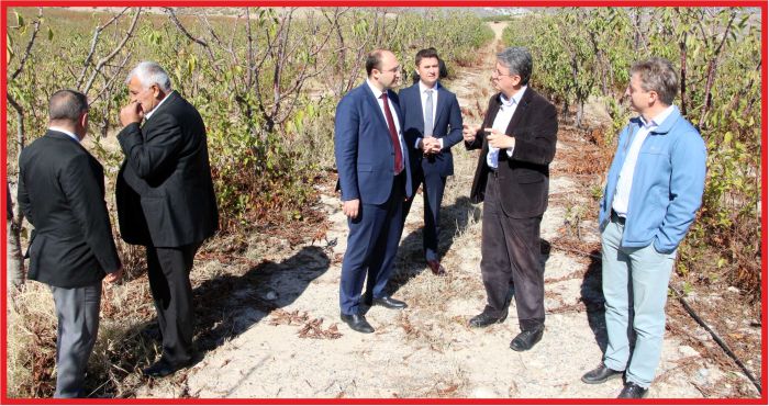 “15 BİN TON MEYVE ÜRETİMİ KORUMA ALTINDA