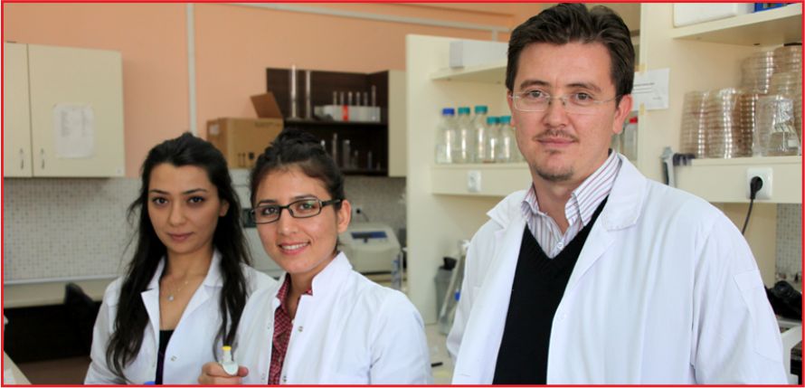 KARAMAN MANTARLARI STRESİ YOK EDİYOR