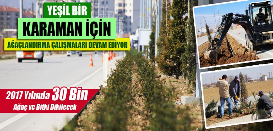 YEŞİL BİR KARAMAN İÇİN AĞAÇLANDIRMA