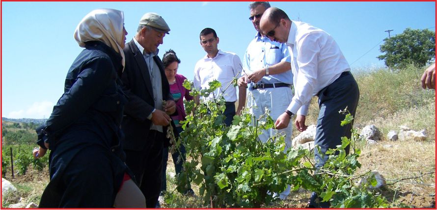 DOLU’DAN ZARAR GÖREN ÇİFTÇİLERE ZİYARET