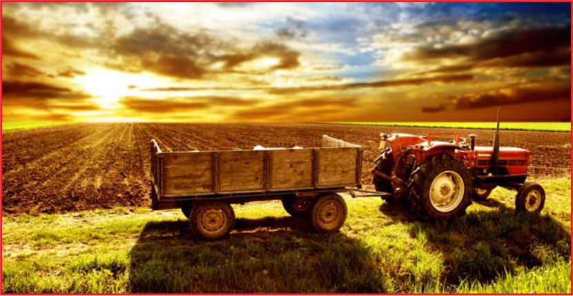 TARIMA 9 MİLYAR DESTEK