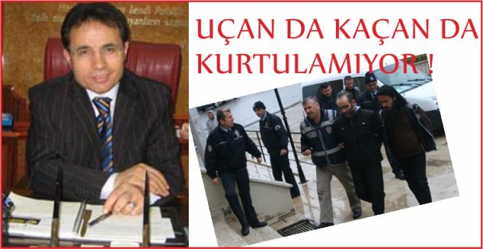 UÇAN DA KAÇAN DA KURTULAMIYOR !