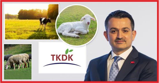 182 PROJEYE 200 MİLYON LİRA HİBE !