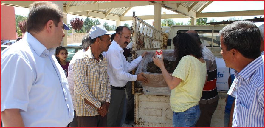 ÇİLEK FİDELERİ TOPRAKLA BULUŞTU