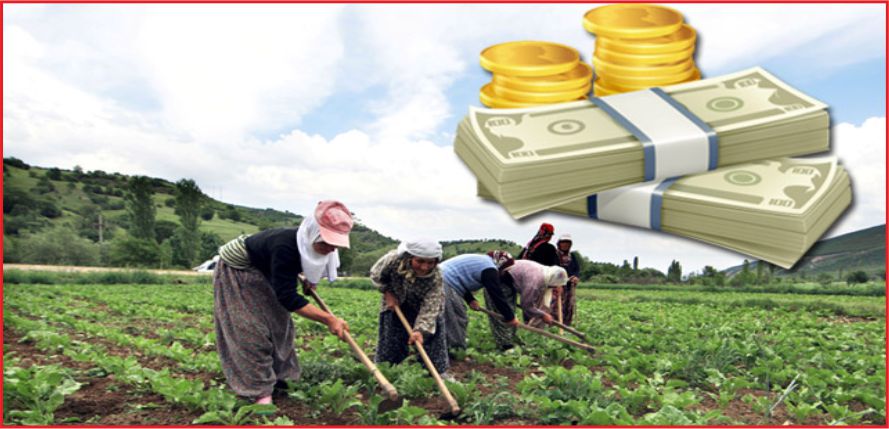 TARIMDA PROJE BAŞINA DESTEK MİKTARI 3 MİLYONA ÇIKTI