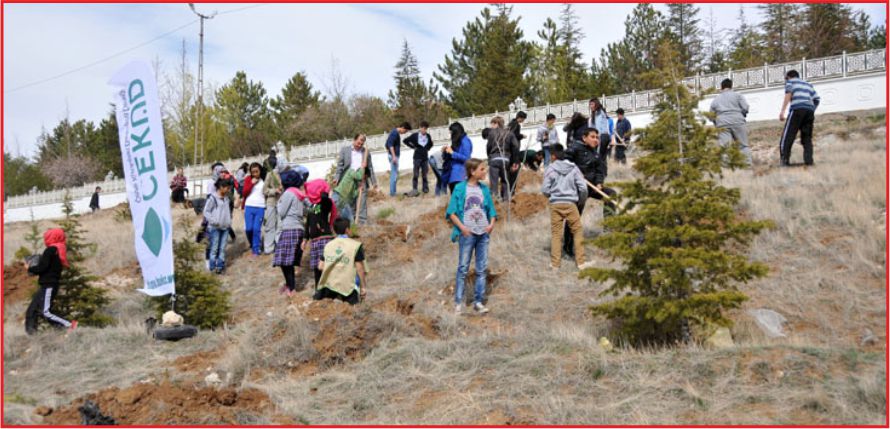 AĞAÇLANDIRMA SEFERBERLİĞİ