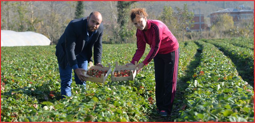 GENÇ ÇİFTÇİ DESTEĞİ İÇİN SON GÜN 5 MAYIS