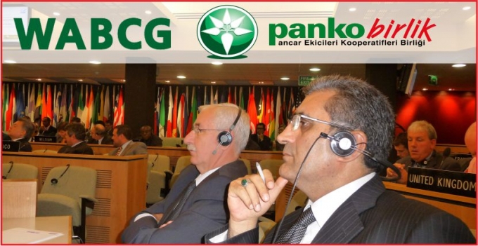 TÜRKİYE’DEKİ BİYOETANOL KULLANIMI  GÜNDEME DAMGA VURDU