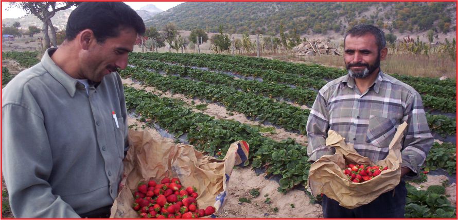 KARAMAN’A 14 MİLYON LİRA !