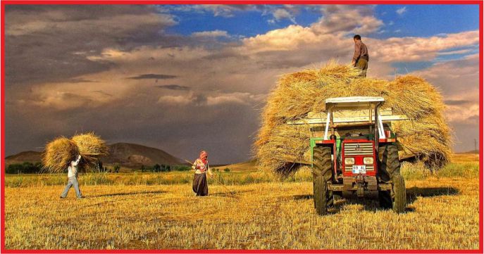 2 MİLYON ÇİFTÇİNİN TARLASI İPOTEKLİ !