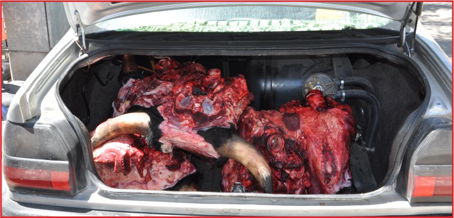 MEZBAHANE MUTLAKA AÇILMALI !