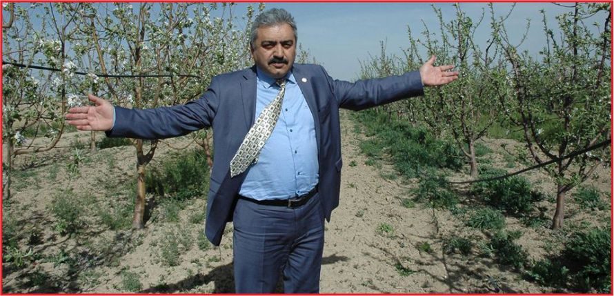 “ELMAYI DON VURDU”