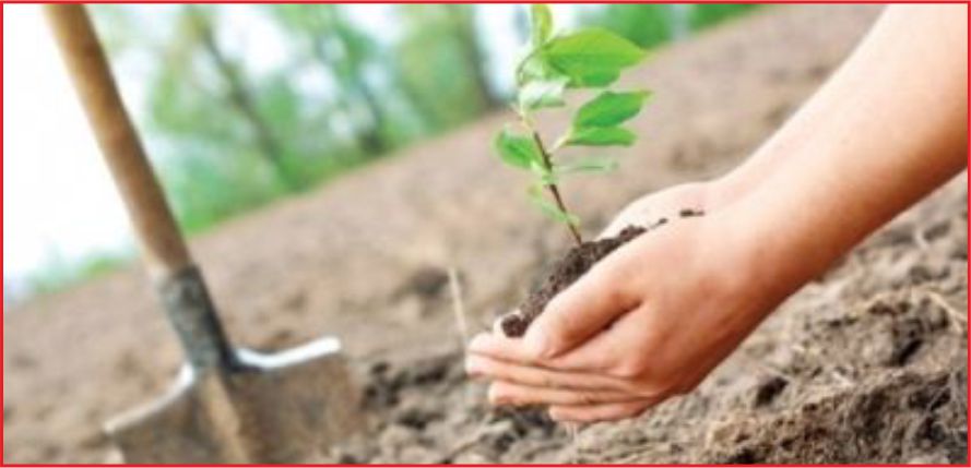 KARAMAN’DA FİDAN DİKİMİ